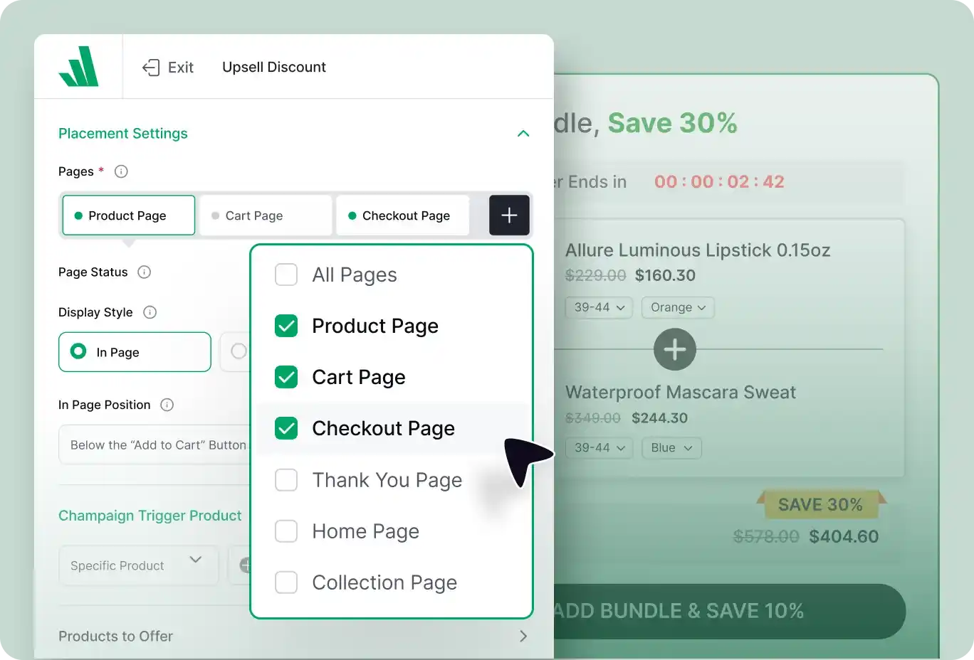 Preview of Campaign Displaying Pages.